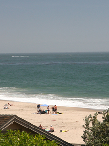 Beach View